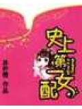 史上第一女配小說封面