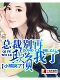 總裁別再追我了小說封面