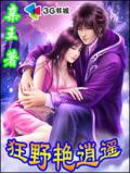 狂野豔逍遙小說封面