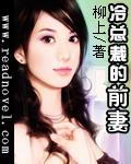 冷總裁的前妻小說封面