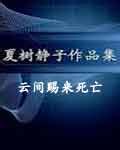 雲間賜來死亡小說封面