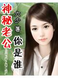 神秘老公你是誰小說封面