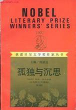孤獨與深思小說封面