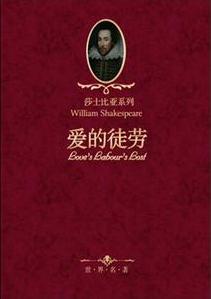 愛的徒勞小說封面