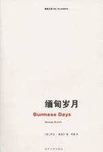 緬甸歲月小說封面