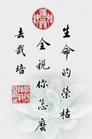 箴言小說封面