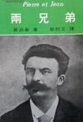兩兄弟小說封面