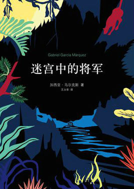 迷宮中的將軍小說封面