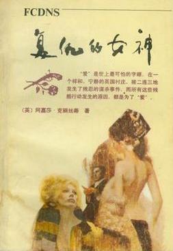 復仇的女神小說封面