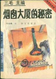 煙囪大廈的秘密小說封面