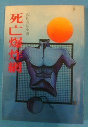 死亡爆炸網小說封面