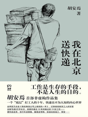 我在北京送快遞小說封面