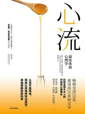 心流小說封面