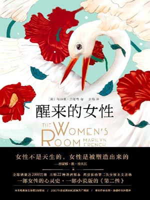 醒來的女性小說封面